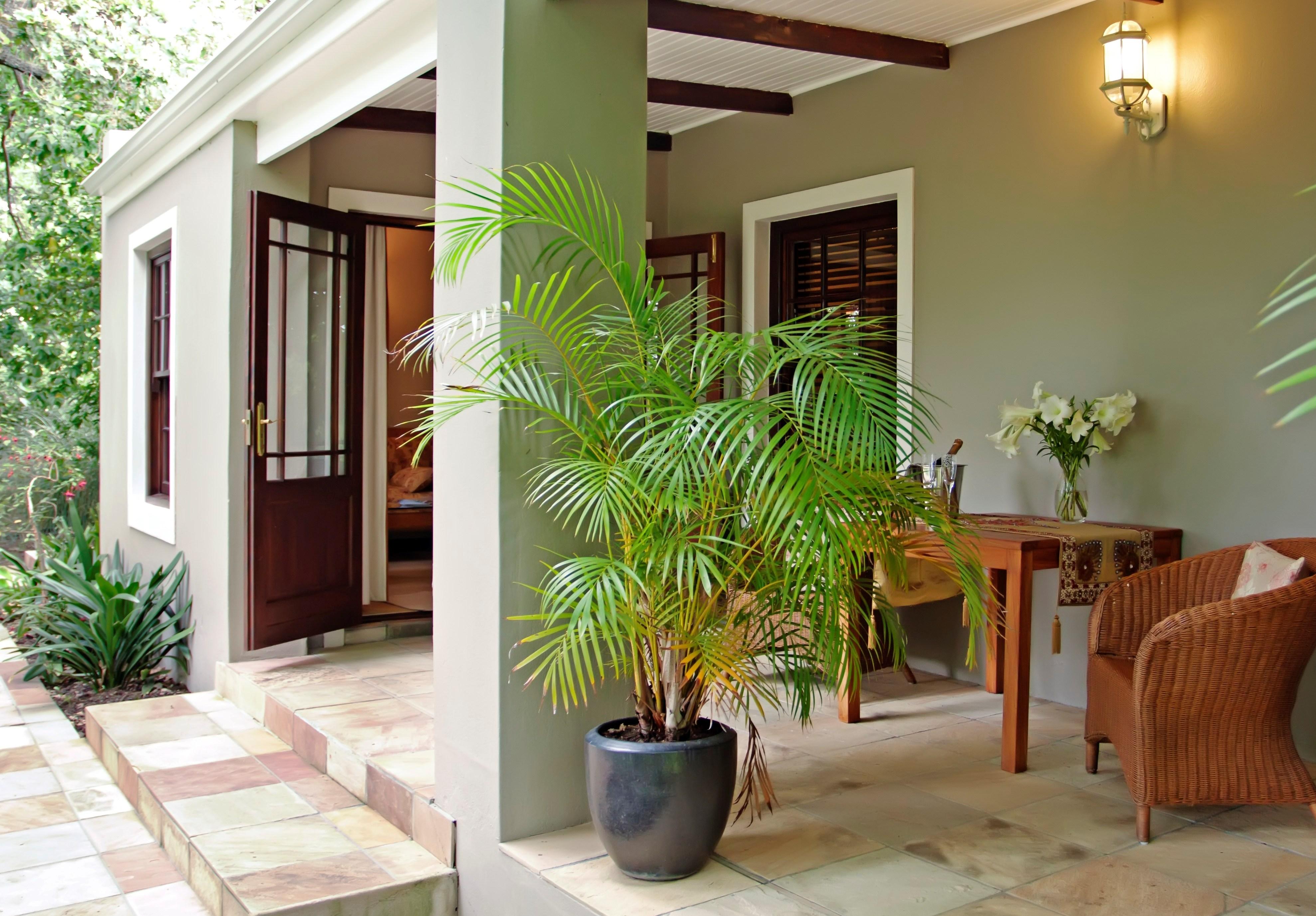 Schoone Oordt Country House Swellendam Dış mekan fotoğraf